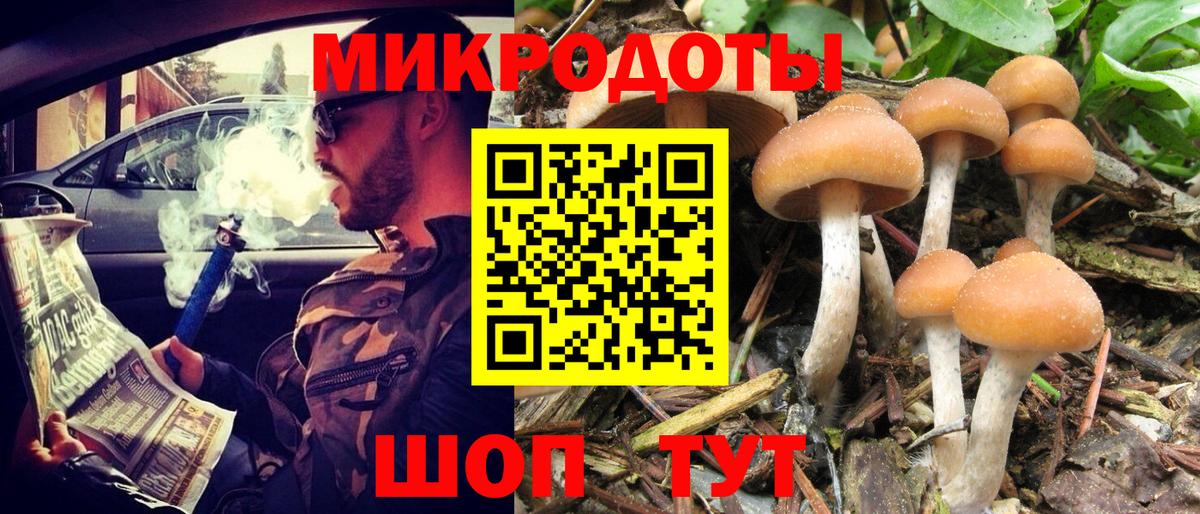 Псилоцибиновые грибы мухоморы Гагарин